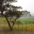 하일목장 이미지