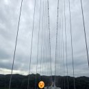 쌍암리주차장 | 임실 옥정호 붕어 섬/ 당일치기 여행/정읍 구절초 축제/전북 가볼 만한 곳/임실가볼만한곳/ 정읍 가볼...