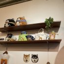 시바카레 이미지