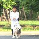 대학동물병원 이미지