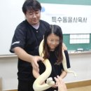 단대초등학교 이미지