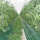 흙사랑 농장 이미지