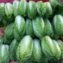 옥천 농장 이미지