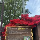 만불 | 전라도 꽃축제 - 2025년도 강진 남 미륵사 철쭉 봄꽃축제 보러가기