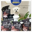 주식회사 국개대표 | 강아지 사료 추천 | 관절연골 건강사료 국개대표 올바른끼니 알파 1개월급여 후기