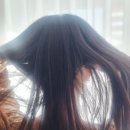 버블버블헤어샵 | 버블큐어 탈모완화 두피샴푸 S9 솔직후기- 탈모샴푸 추천으로 시작한 진짜 두피관리