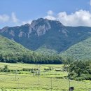 농업회사법인 오곡발효마을(주) | 초록 물결이 밀려드는 월출산 차밭 산책, 강진 설록다원 (feat. 백운차실의 원조 말차)