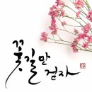 와이에스투어 이미지