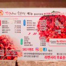 꼬꼬아찌 로고