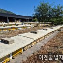 월동준비하는 10월 꿀벌관리 이미지