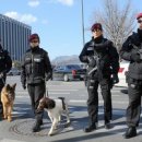 경찰특공대 이미지