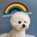 살롱드베베 이미지