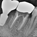태장고려의원 이미지