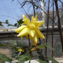 서부농업기술센터 이미지