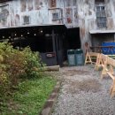 팬더랜드 이미지