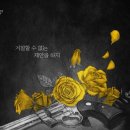 링크센터 이미지
