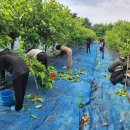 고창군농업기술센터 이미지