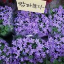 언더스투드