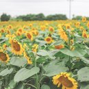 J·H농장 이미지