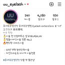 유유속눈썹