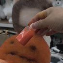 로댕펫살롱
