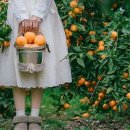 동화3길-4 이미지