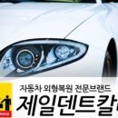 제일덴트칼라 이미지
