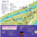 유성 국화축제 이미지