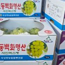 귤이네과일;야채 이미지