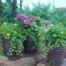 건축이야기 1 이미지