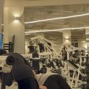 리라핏 거모점 이미지