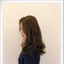 그레이스헤어 네이버블로그