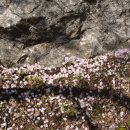 열창노래방 이미지