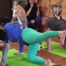 스토리안마시술소 이미지