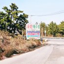 만의약초방 | 영종도 솔밭해수방 프라이빗 해수찜질방 이용후기 🤗