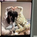 온다젤라또