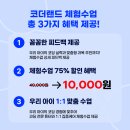 코더랜드