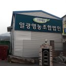 일광법인 이미지