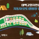 태백농협하나로마트 장성점 | 태백산 아주깔끔한 휴양림 - 태백고원자연휴양림 캠핑
