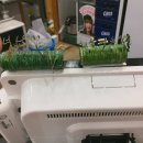 내곡동655 이미지