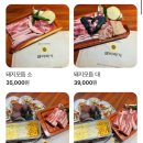 돼바라기무거점 이미지