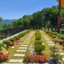 NOBLESSE.PET 이미지