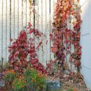 지형당구장 이미지