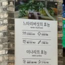 등촌샤브칼국수 방이본점 | 다이어터도 안심하고 즐기는 미나리 샤브의 정석, 등촌샤브칼국수 방이본점