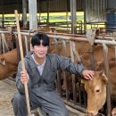 청년축산 - 성남시 수정구 수정로 202 | 청년축산