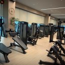 업핏 웰니스 클럽 이미지