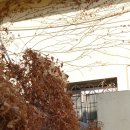 부전1동-1 이미지