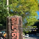 황토향기민박