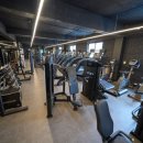 백프로짐 하대원점 이미지