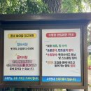 삼풍수영장 | 수원 삼풍수영장 취사가능한 야외수영장 / 방갈로 후기 (+오픈런)